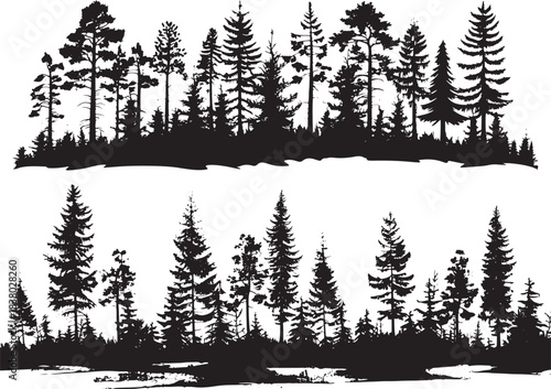 Pine trees silhouettes
