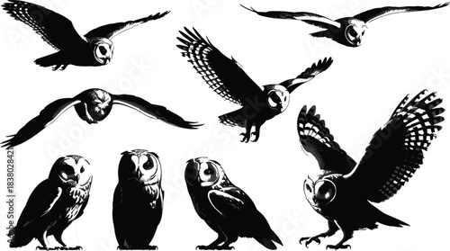Flying owl silhouettes, nocturnal bird illustration, wildlife raptor design, predator animal drawing, owl vector collection, dark night hunter, detailed owl artwork