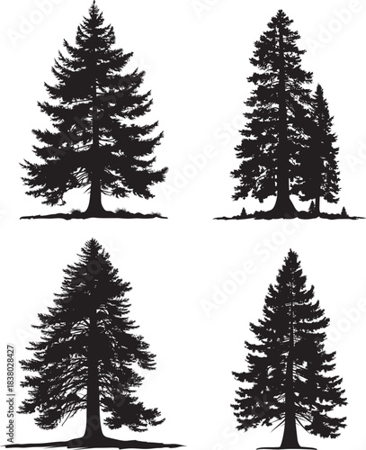 Sequoia tree silhouette vector illustration clipart