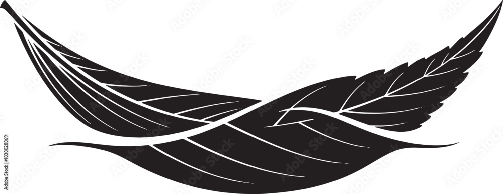Fototapeta premium Two Intertwined Black Leaf Silhouettes leaves nature
