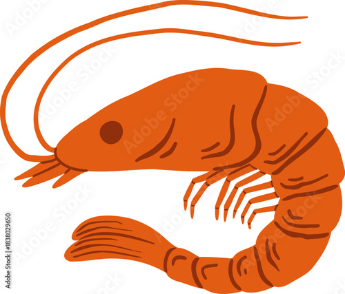 Hand drawn shrimp vector illustration. Cartoon prawn seafood icon