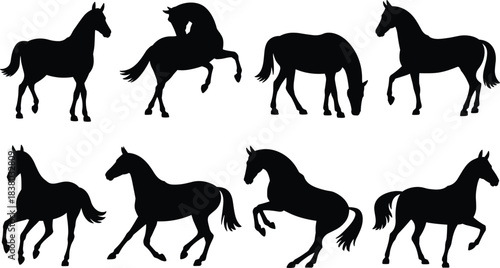 Horse silhouette collection, black horse poses, equine vector set, grazing horse, rearing horse, walking horse, trotting horse, animal illustration