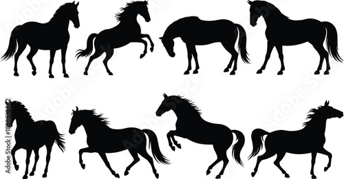 Horse silhouette illustration, galloping horse vector, rearing stallion pose, equine motion art, black horse clipart, dynamic animal design