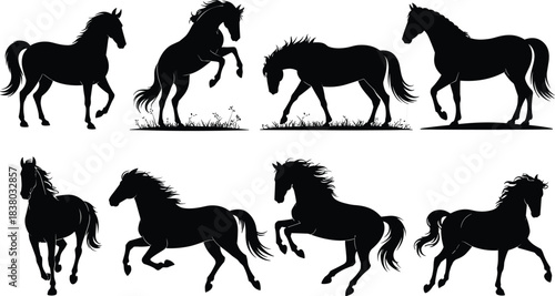 Horse silhouette, galloping horse, rearing horse, grazing horse, walking horse, black horse, animal pose, equine motion, vector art, isolated