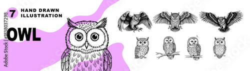 Set of engraving owl