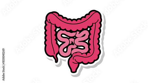 Illustration of Pink Human Intestines and Colon Against Black Background with White Outline and Shadow Detailed Anatomy Medical Health Care Concept