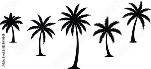 Palm tree silhouette vector, tropical plant icons, beach tree clipart, summer nature design, exotic foliage shapes, cad drawing flat vector illustration