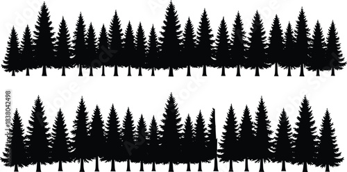 Black silhouette of dense evergreen forest trees against a white background pine