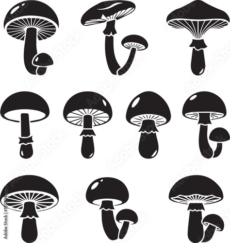 Modern minimal mushroom icon vector illustration perfect for organic food branding, natural product packaging and botanical graphic design