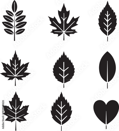 Modern minimal leaf icon vector illustration perfect for eco branding, natural product packaging and environmental graphic design