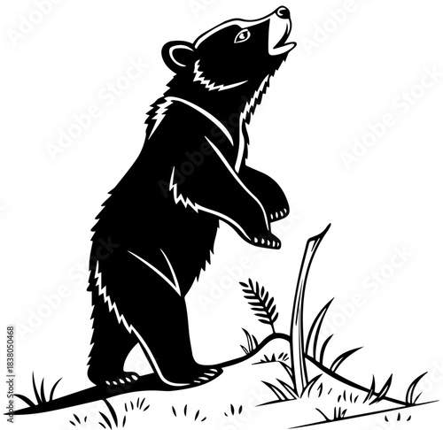 Bear Silhouette – Curious Cub on Hind Legs with Grass and Broken Branch