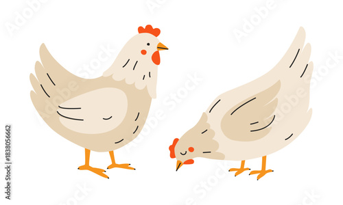 Cute chickens in children's style. Hens in the hand drawn style. Bird Easter Characters. Broiler Chicken farm animals, poultry. Organic Farm. Domestic birds. Eggs products market. Flat vector isolated