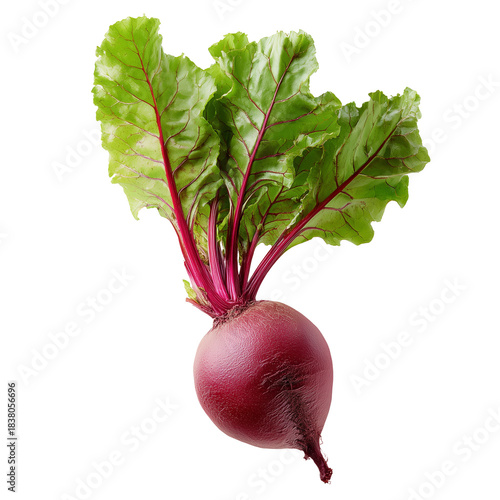 Fresh beetroot with vibrant green leaves displaying its rich color in a simple, clean setting