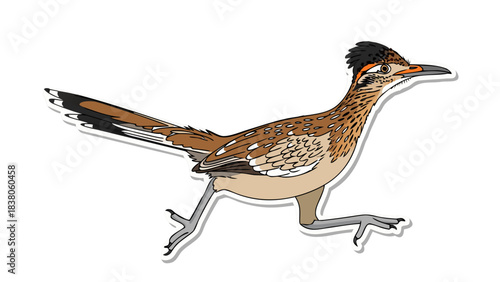 Roadrunner Bird Running With Speed And Agility In Natural Habitat With Brown and Tan Feathers and Striking Features