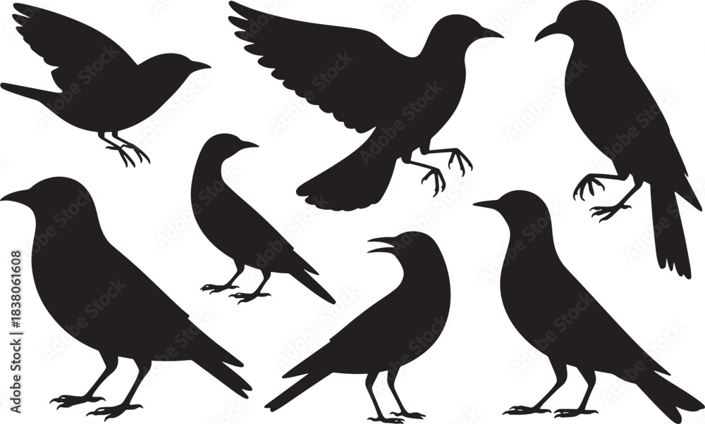 Naklejka premium Set of seven black bird silhouettes