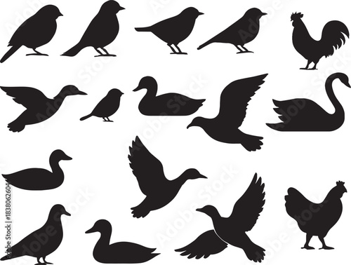 Collection of bird silhouettes