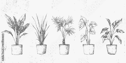 Shabby surface with potted plants, grainy dust, faded grunge textures, halftone specks and retro paper noise with botanical vintage fragments.