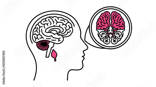 Stylized Illustration of Human Head Profile Showing Brain Anatomy with Close Up Detail of Cerebral Cortex and Brainstem in Pink and White on Black Background