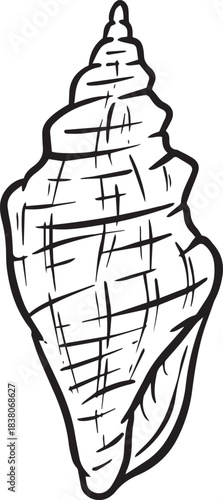 Hand drawn clipart illustration of seashell shell mollusc seaside shellfish