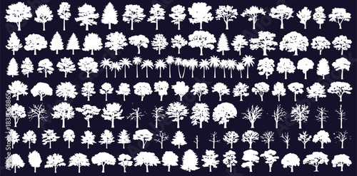 Set of outline tree silhouettes for architectural and landscape design