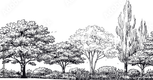 Panoramic architectural treeline with diverse deciduous trees and shrubbery