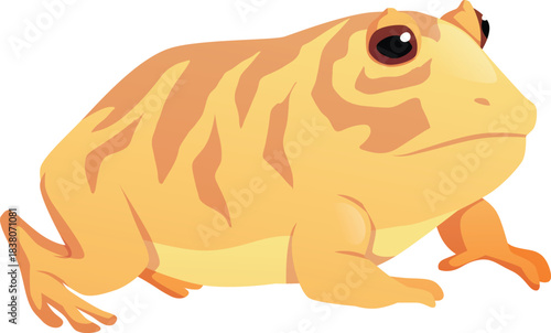 Cute orange frog, cartoon toad is sitting, vector flat illustration of exotic pet reptile, amphibian animal side view