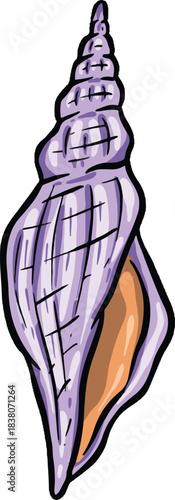 Hand drawn clipart illustration of seashell shell mollusc seaside shellfish
