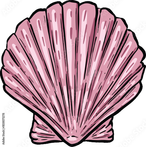 Hand drawn clipart illustration of seashell shell mollusc seaside shellfish