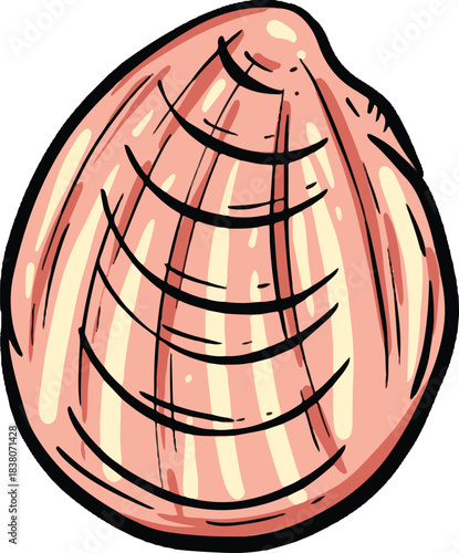 Hand drawn clipart illustration of seashell shell mollusc seaside shellfish