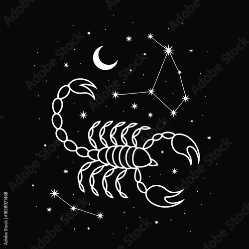 Scorpion Zodiac Sign Constellation Star Map Minimalist Vector