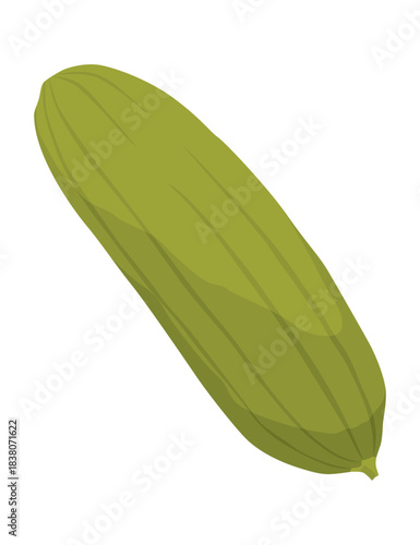 Homemade pickled cucumber. Clip-art of marinated food for packaging, label, menu, signboard or showcase. Fermented veggies, crunch gherkin with salt. Healthy vegetarian food