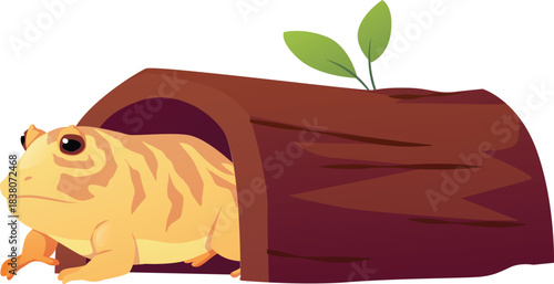 Yellow striped toad under a log, terrarium pet. Exotic animal.