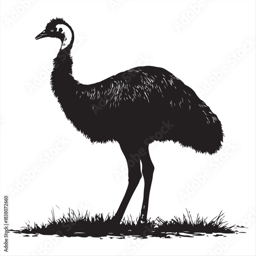 Emu Silhouette Wildlife Illustration