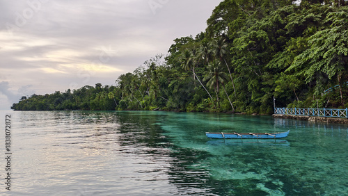 A beautiful beach, with clear sea water, trees, wooden boats, coconut trees and a slightly cloudy sky. Raja Tiga Sabado Adoki Beach