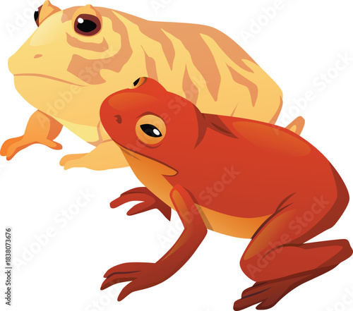 Red frog and yellow striped toad icon, terrarium pet.