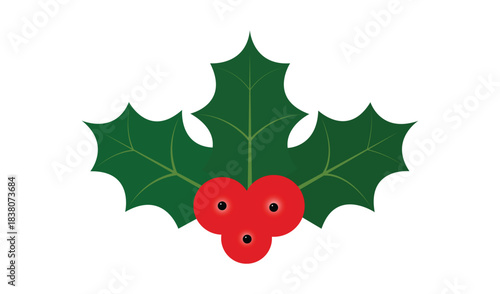 Festive holly sprig with red berries for christmas and winter holidays