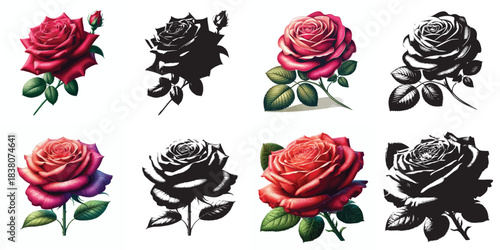 Vector and silhouette set of rose flowers with stems on white background
