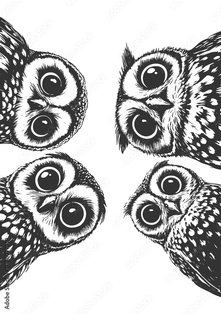 Naklejka premium wide-eyed owls peeking downward with expressive faces sketch engraving generative ai raster illustration. Scratch board imitation. Black and white image.