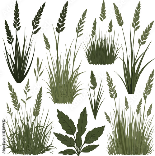 Isolated a kinds of deferent grass vector art with white background.