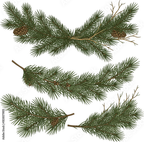 Isolated a kinds of deferent realistic Christmas garland pine branches vector art with white background.