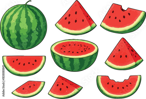 Watermelon Illustrations Set