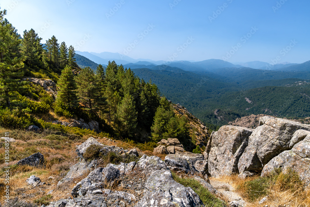Fototapeta premium Hügel und Wälder auf Korsika