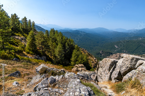 Wallpaper Mural Hügel und Wälder auf Korsika Torontodigital.ca