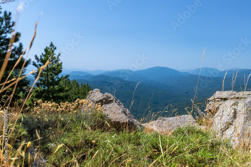 Wallpaper Mural Hügel und Wälder auf Korsika Torontodigital.ca