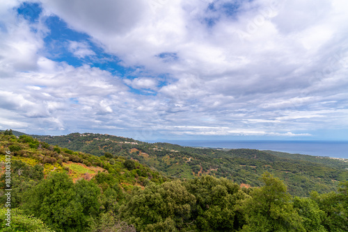 Wallpaper Mural Kastanienwälder unter der Sonne Korsikas Torontodigital.ca