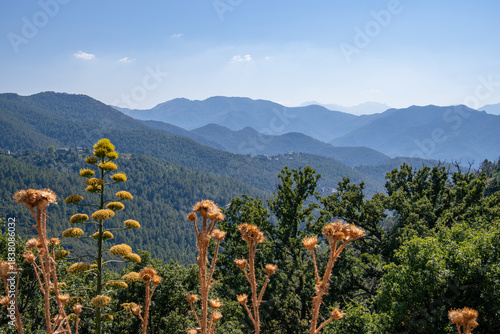 Wallpaper Mural Panorama der Hügellandschaft bei Morosaglia Torontodigital.ca