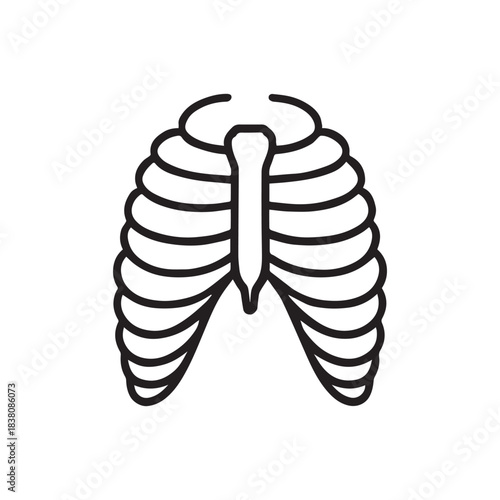 Rib Cage Vector Icon – Human Thorax, Anatomy Illustration