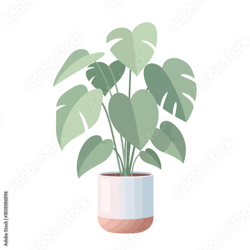 Aesthetic vector illustration of a flourishing monstera deliciosa in a stylish pot creating