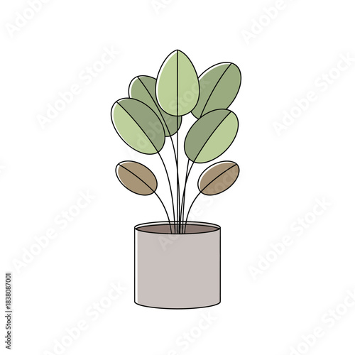 Stylized indoor plant illustration with muted colors conveying simplistic modern botanical design