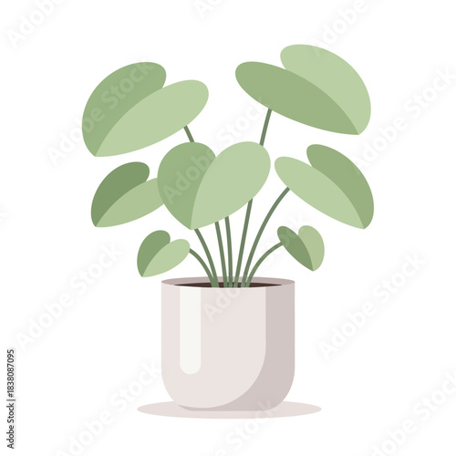 Charming indoor plant displaying elegant leaves and a neat modern aesthetic perfectly suitable for